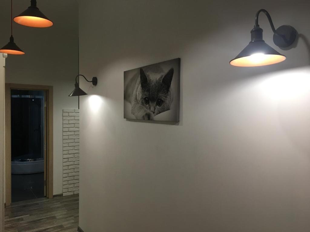 Comfort Place In The City Centre 伊万诺-弗兰科夫斯克 外观 照片